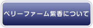 ベリーファーム紫香について